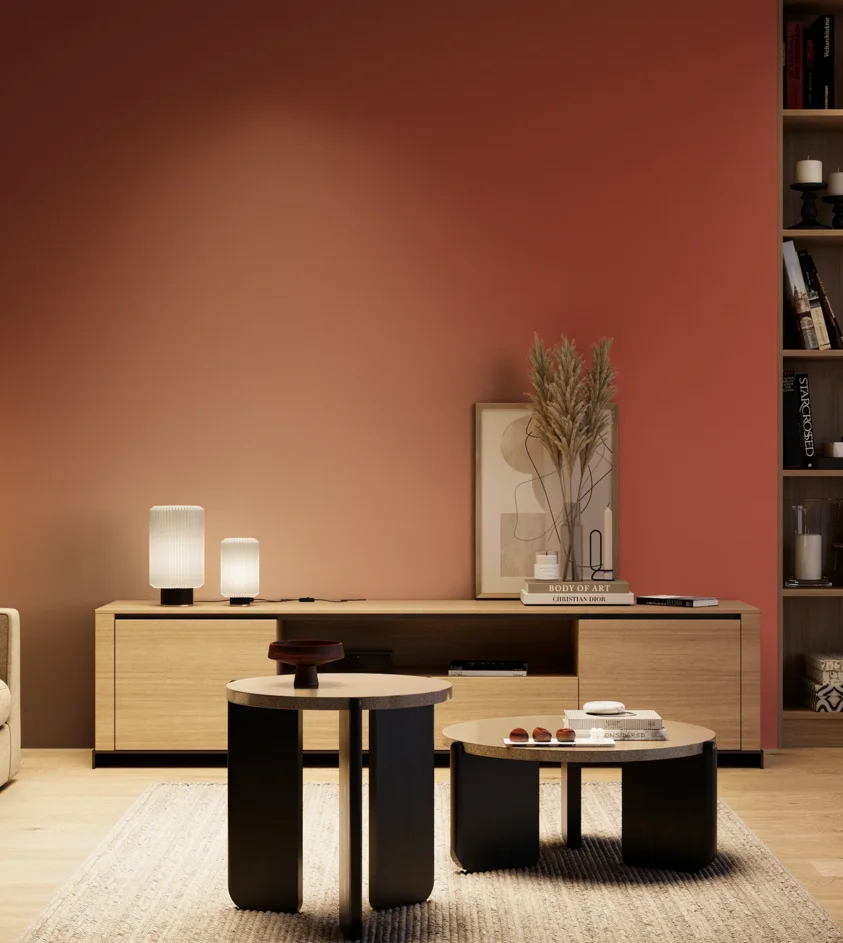 P10_SNIEZKA_salon_04_cieple_GREY_RAL3016