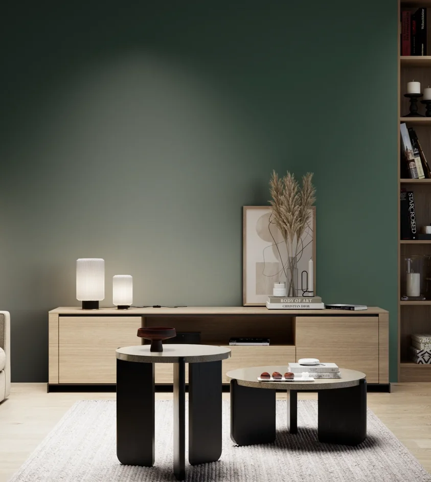 P10_SNIEZKA_salon_05_zimne_GREY_RAL6005