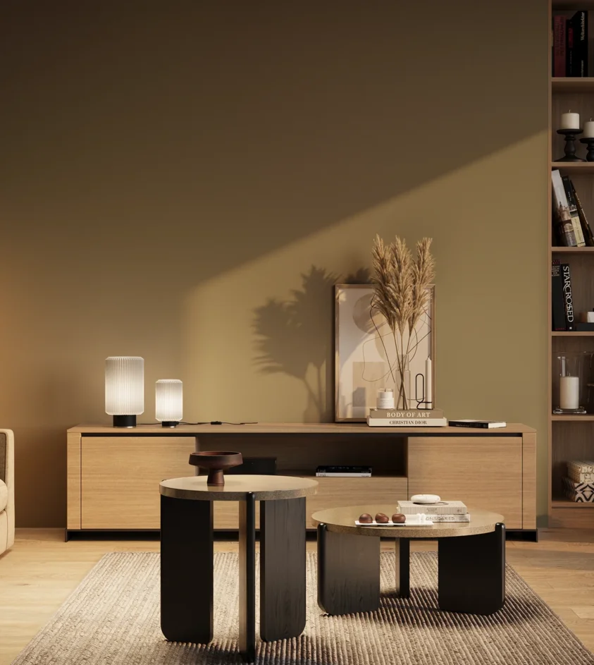 P10_SNIEZKA_salon_03_wieczor_GREY_RAL6013