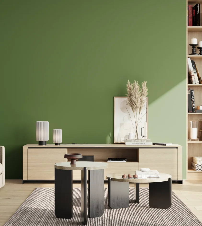 P10_SNIEZKA_salon_02_poludnie_GREY_RAL6017