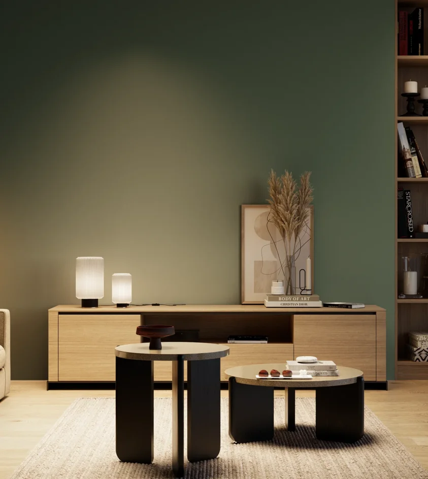 P10_SNIEZKA_salon_04_cieple_GREY_RAL6028
