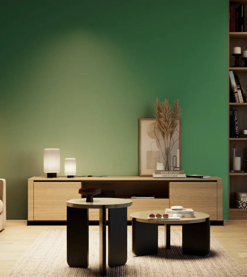 P10_SNIEZKA_salon_04_cieple_GREY_RAL6032