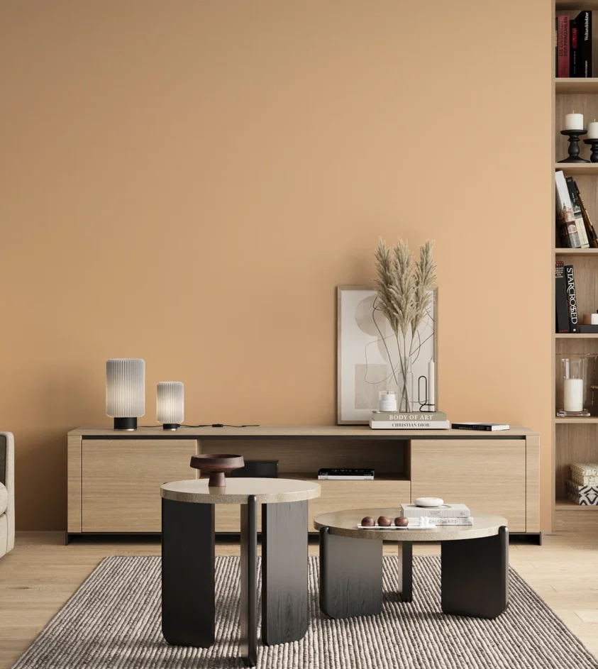 P10_SNIEZKA_salon_00_neutral_GREY_S0520-Y40R