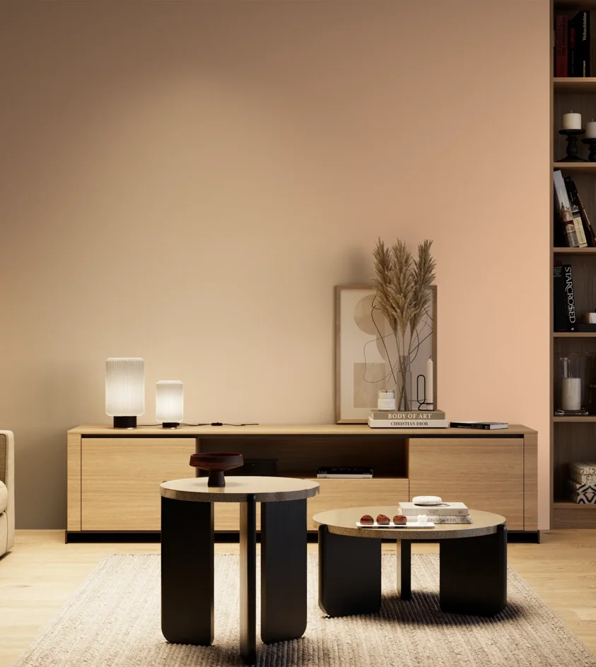 P10_SNIEZKA_salon_04_cieple_GREY_S0520-Y60R