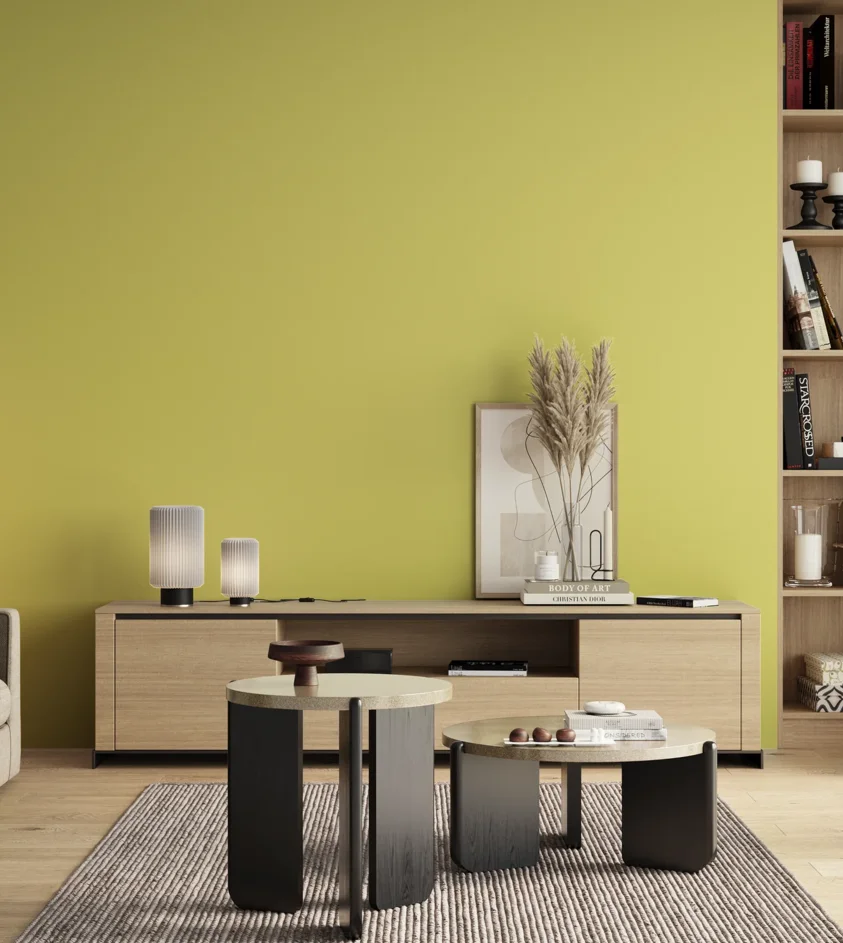 P10_SNIEZKA_salon_00_neutral_GREY_S0540-G80Y