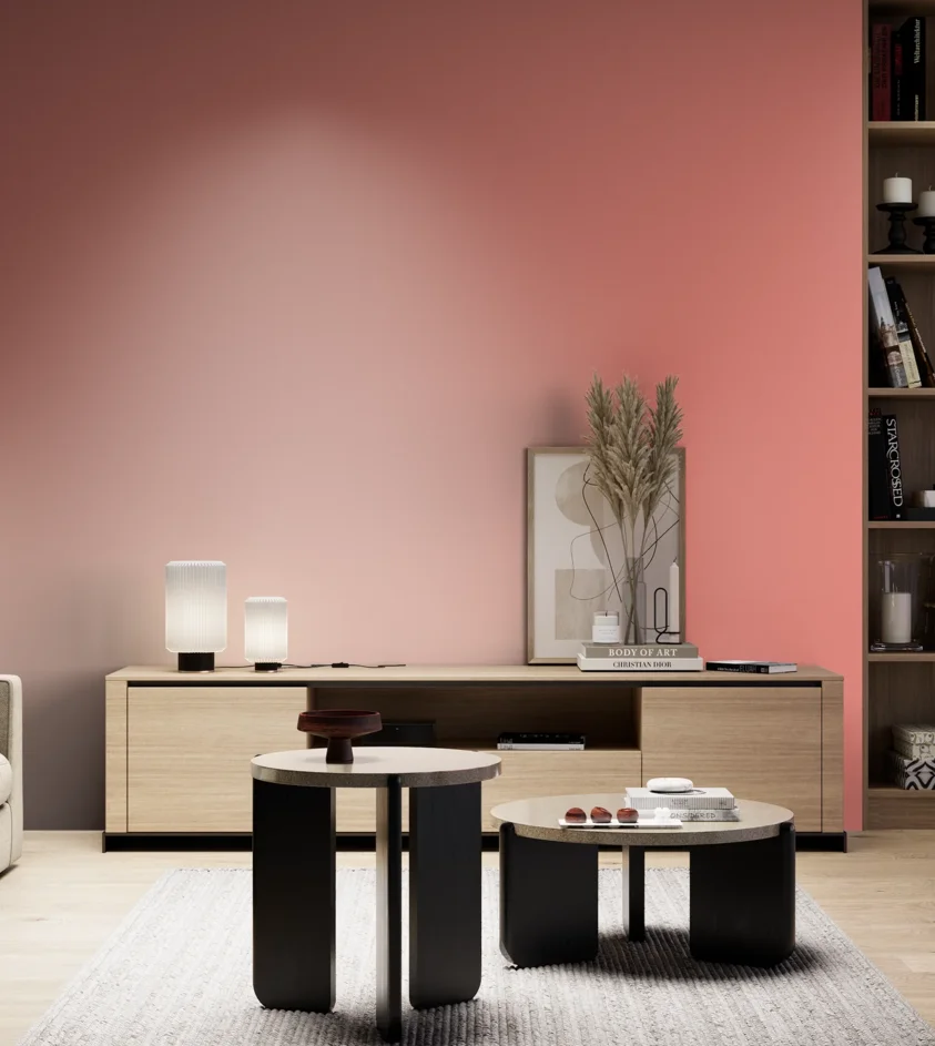 P10_SNIEZKA_salon_05_zimne_GREY_S0550-Y90R
