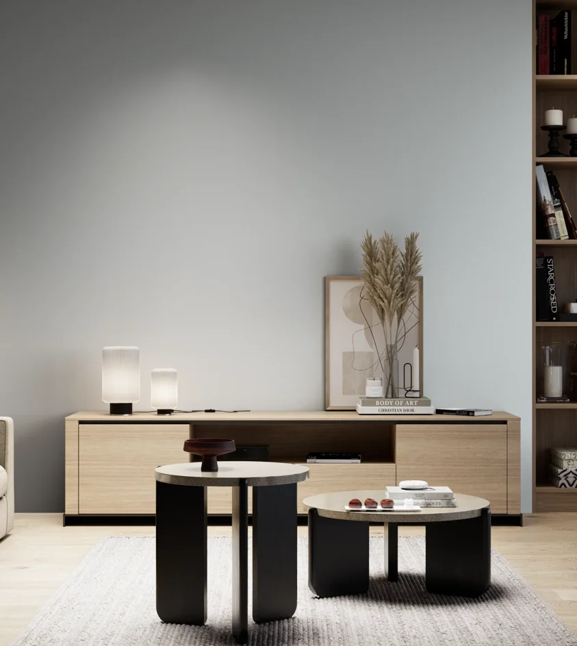 P10_SNIEZKA_salon_05_zimne_GREY_S1005-R90B