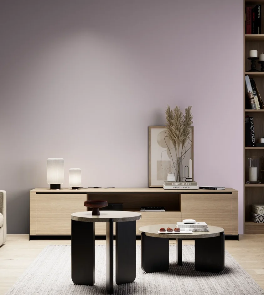 P10_SNIEZKA_salon_05_zimne_GREY_S1015-R40B