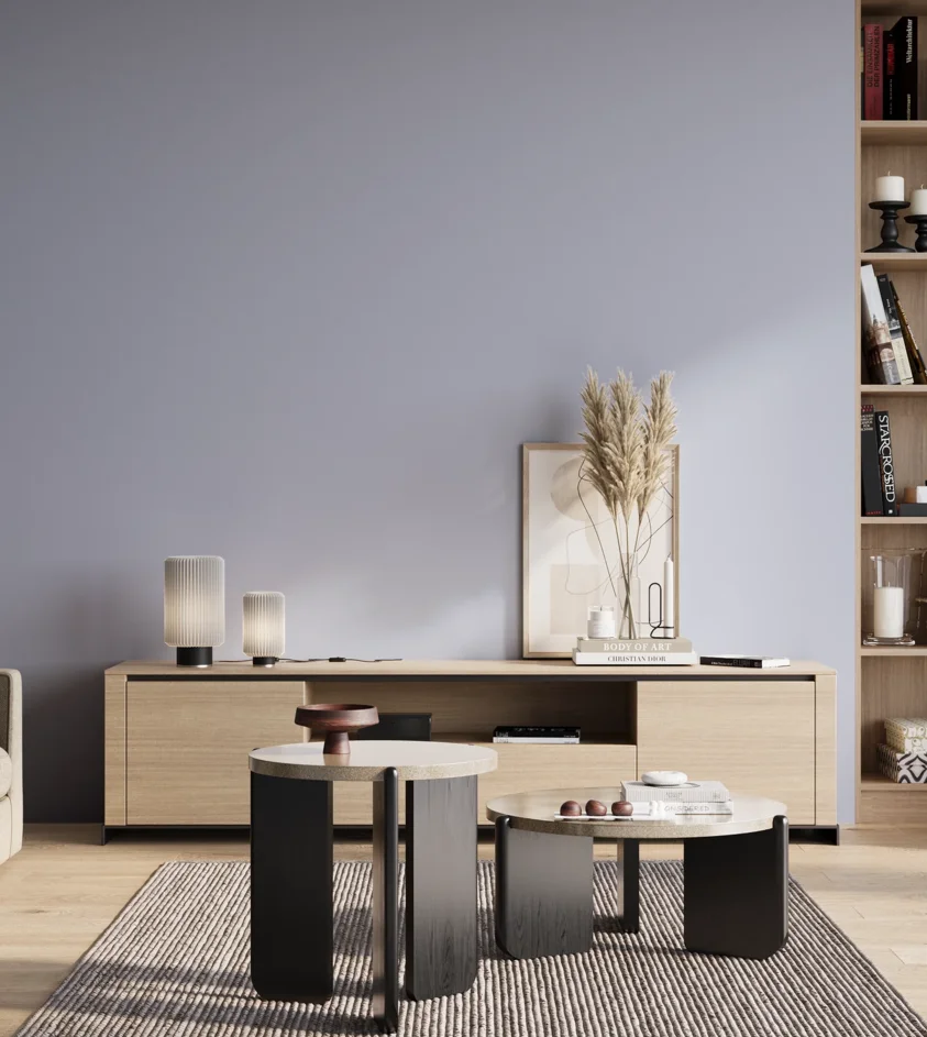 P10_SNIEZKA_salon_01_poranek_GREY_S1020-R70B