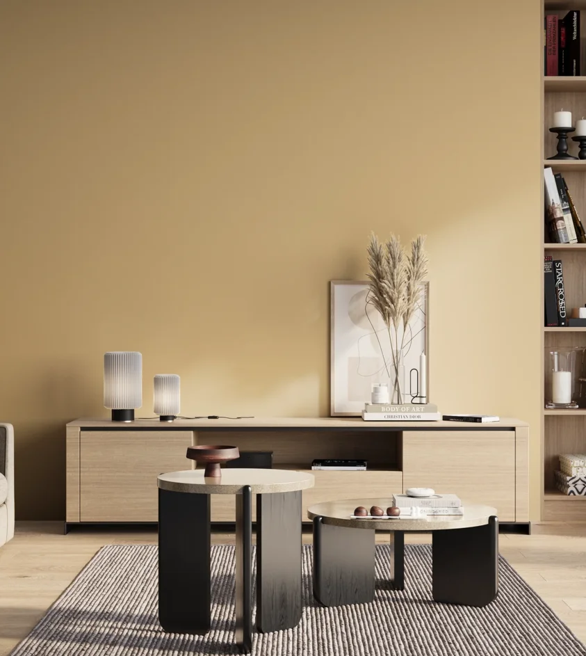 P10_SNIEZKA_salon_01_poranek_GREY_S1020-Y20R