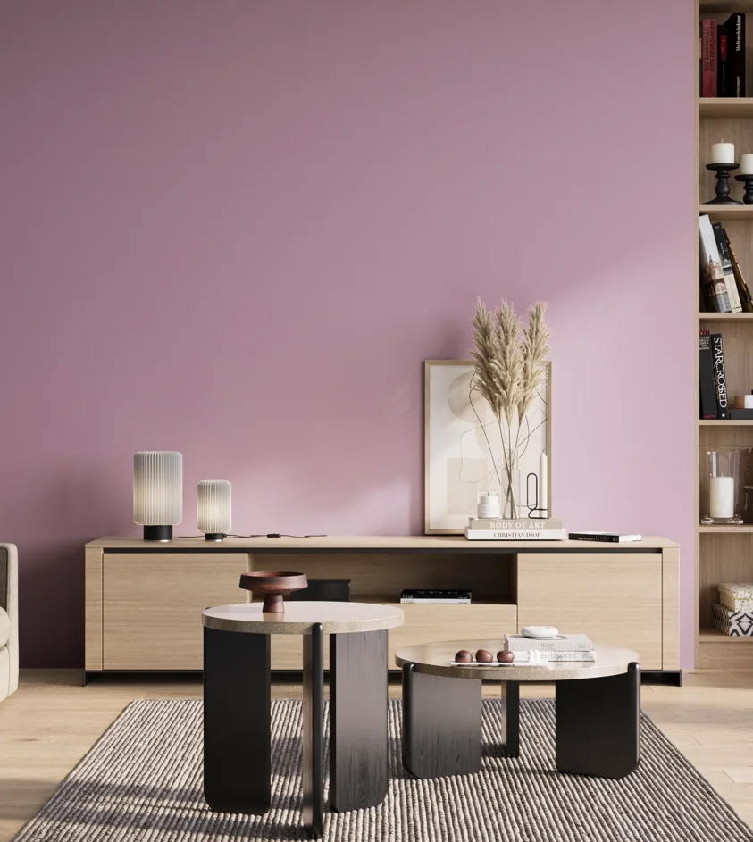 P10_SNIEZKA_salon_01_poranek_GREY_S1030-R40B