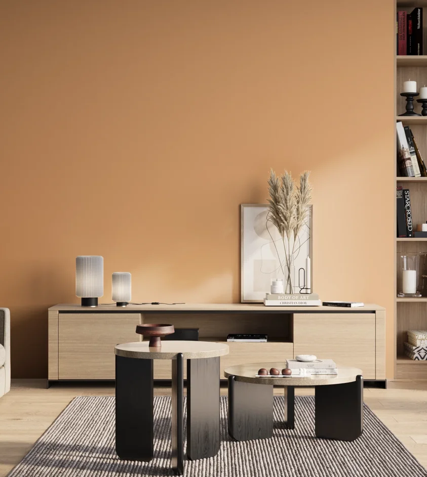 P10_SNIEZKA_salon_01_poranek_GREY_S1030-Y40R