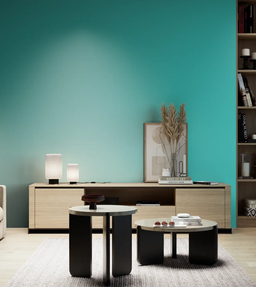 P10_SNIEZKA_salon_05_zimne_GREY_S1050-B50G