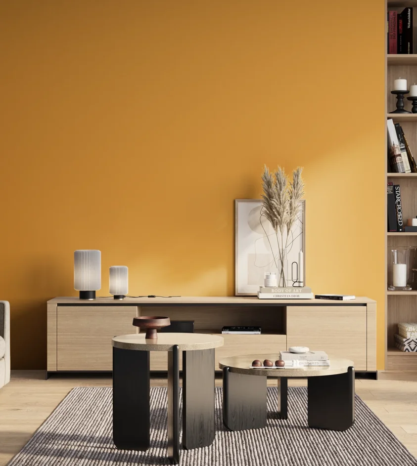 P10_SNIEZKA_salon_01_poranek_GREY_S1060-Y20R