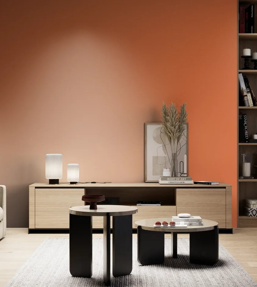 P10_SNIEZKA_salon_05_zimne_GREY_S1070-Y60R