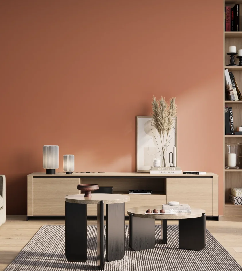 P10_SNIEZKA_salon_01_poranek_GREY_S2040-Y70R