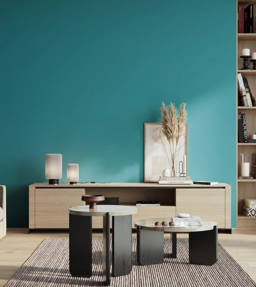 P10_SNIEZKA_salon_01_poranek_GREY_S2050-B20G