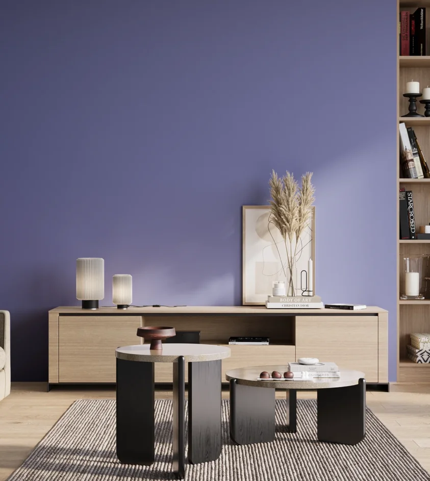 P10_SNIEZKA_salon_01_poranek_GREY_S2050-R70B