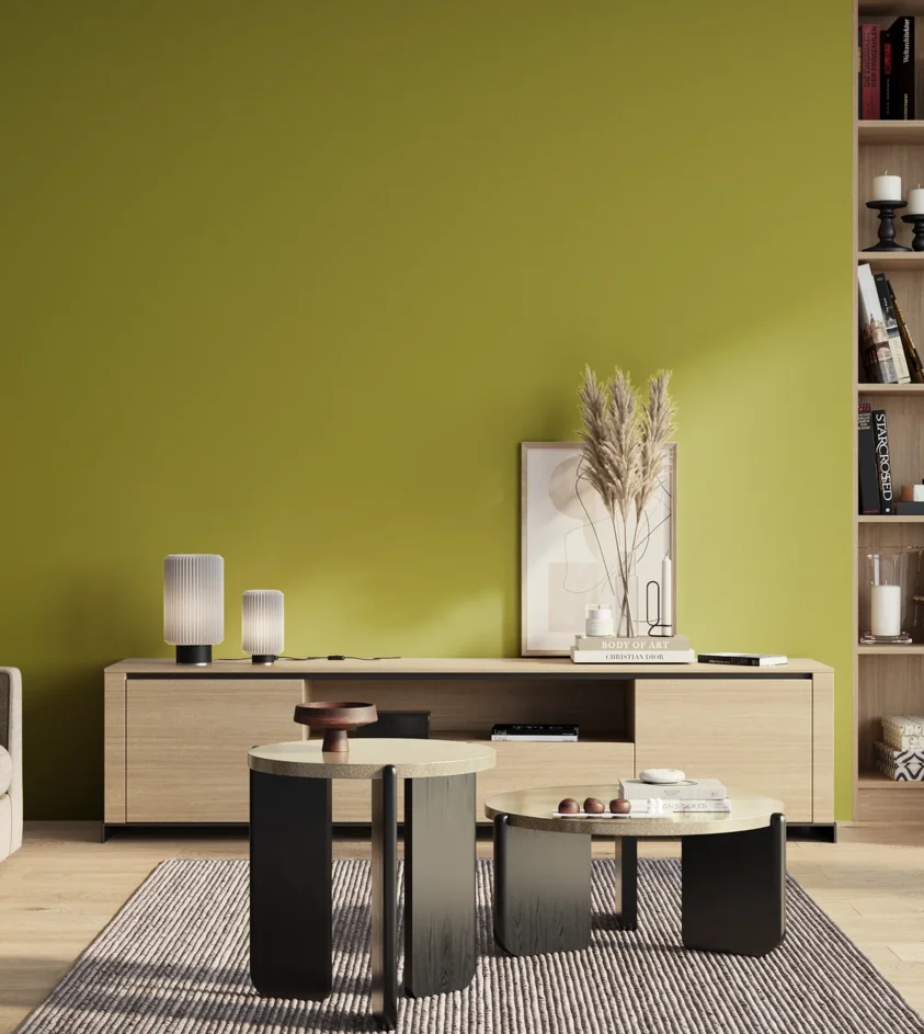 P10_SNIEZKA_salon_01_poranek_GREY_S2060-G70Y