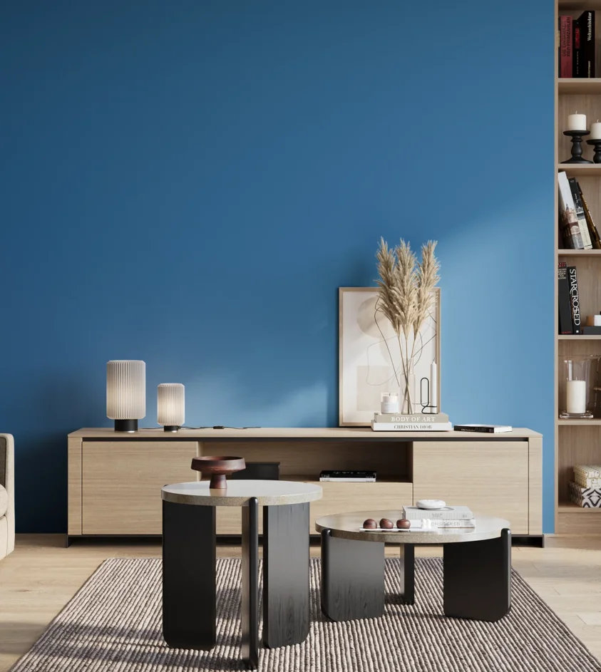 P10_SNIEZKA_salon_01_poranek_GREY_S2060-R90B