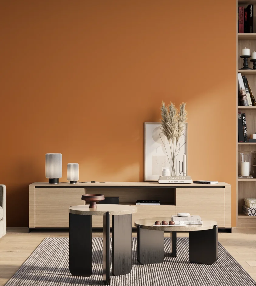 P10_SNIEZKA_salon_01_poranek_GREY_S2060-Y40R