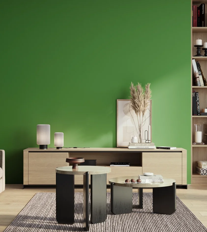 P10_SNIEZKA_salon_01_poranek_GREY_S2070-G20Y