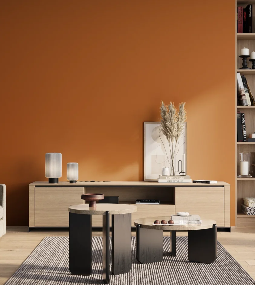P10_SNIEZKA_salon_01_poranek_GREY_S2570-Y40R