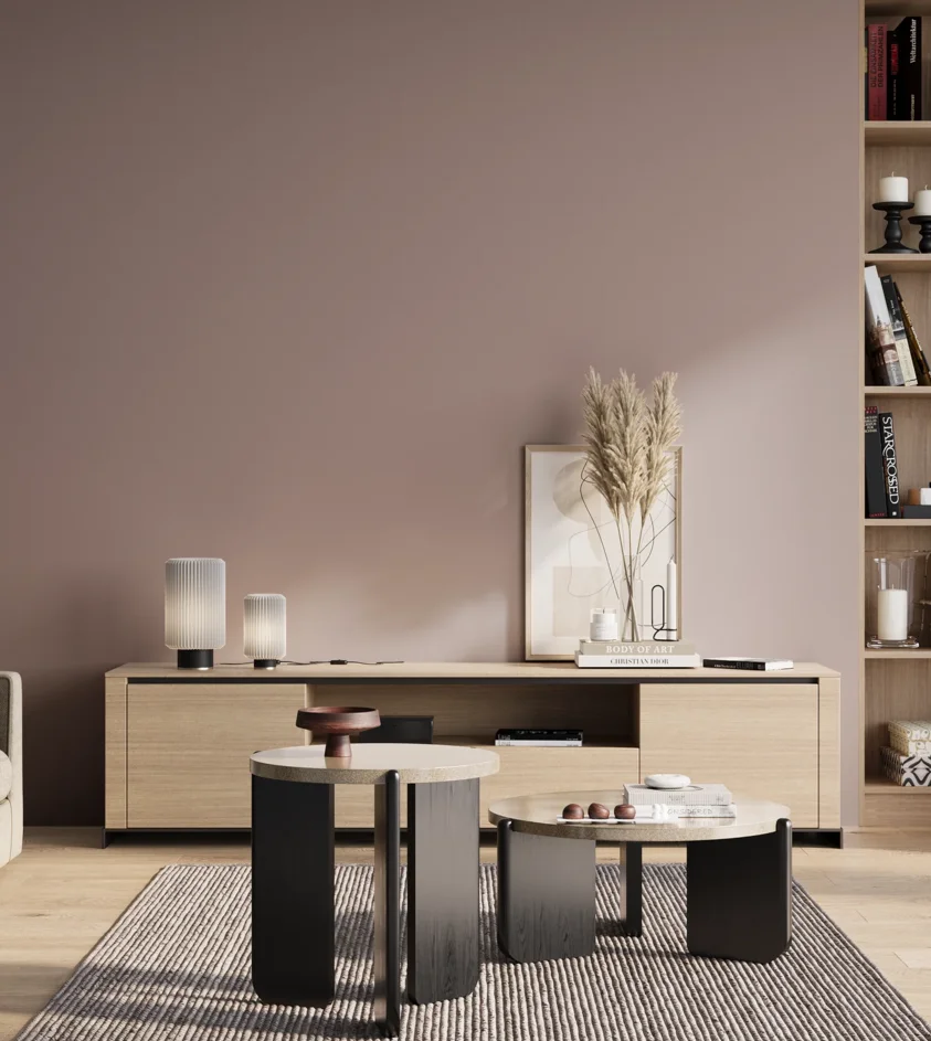 P10_SNIEZKA_salon_01_poranek_GREY_S3010-R10B