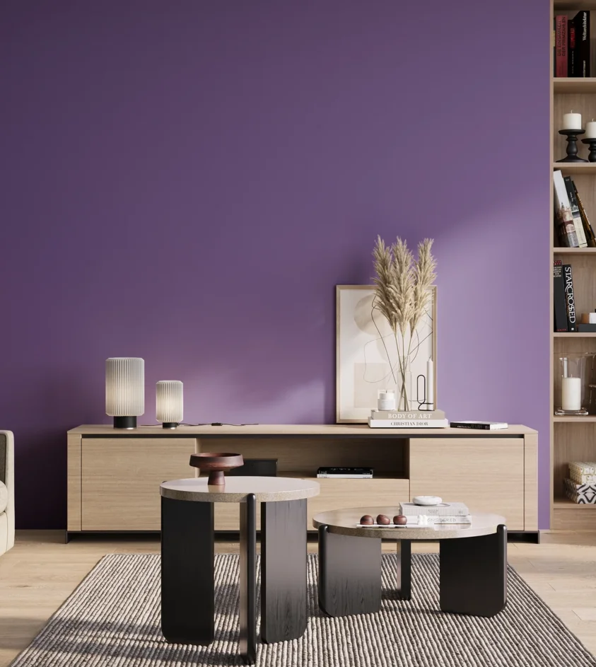 P10_SNIEZKA_salon_01_poranek_GREY_S3050-R60B