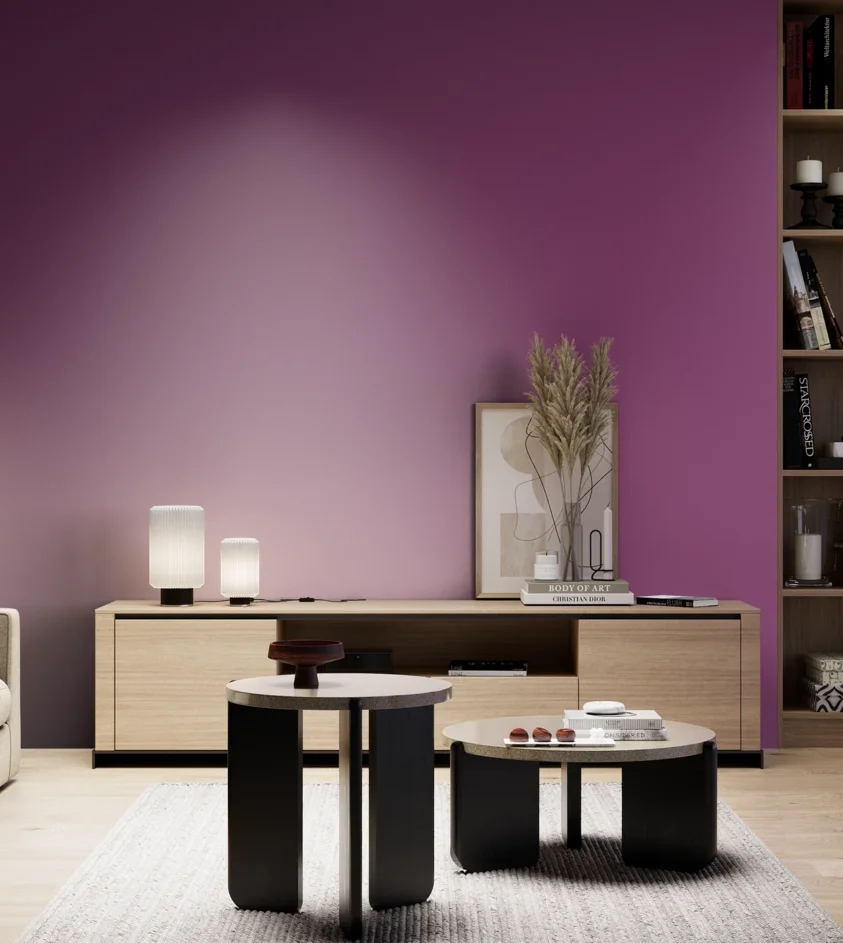 P10_SNIEZKA_salon_05_zimne_GREY_S3055-R40B