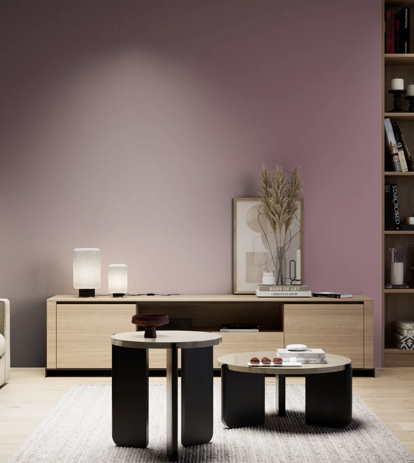 P10_SNIEZKA_salon_05_zimne_GREY_S4020-R20B