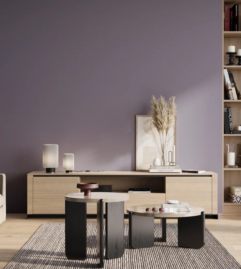 P10_SNIEZKA_salon_01_poranek_GREY_S4020-R60B