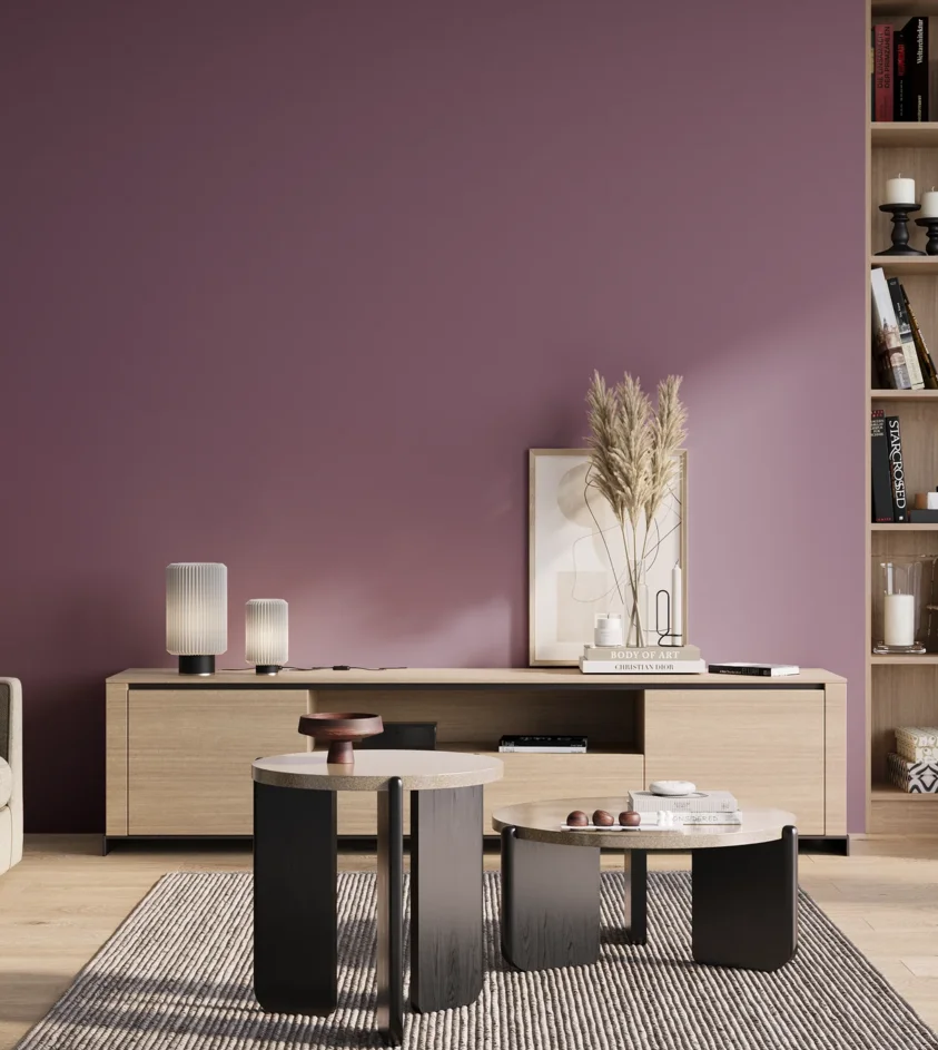 P10_SNIEZKA_salon_01_poranek_GREY_S4030-R40B
