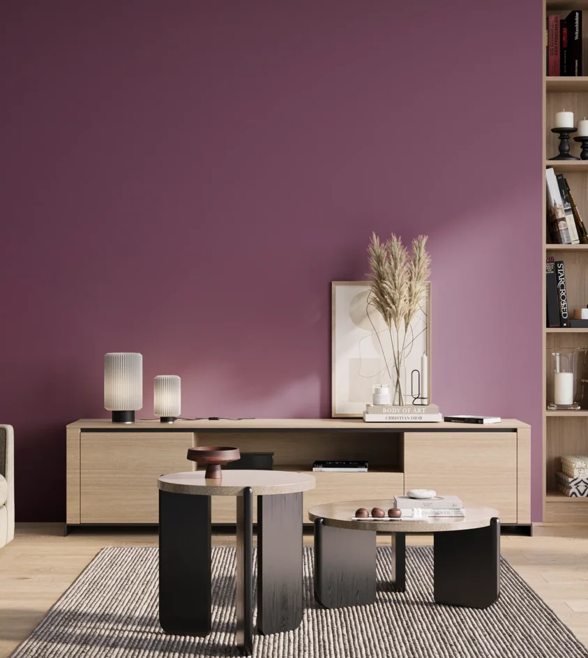P10_SNIEZKA_salon_01_poranek_GREY_S4040-R40B