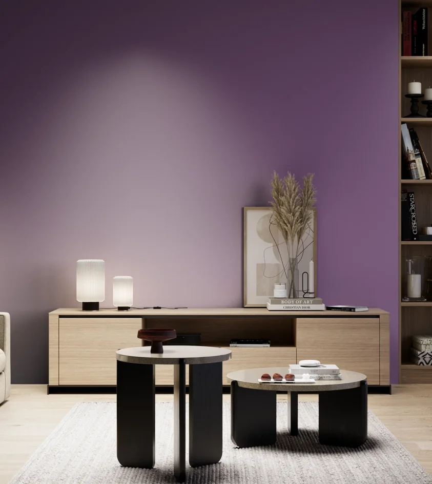 P10_SNIEZKA_salon_05_zimne_GREY_S4040-R50B