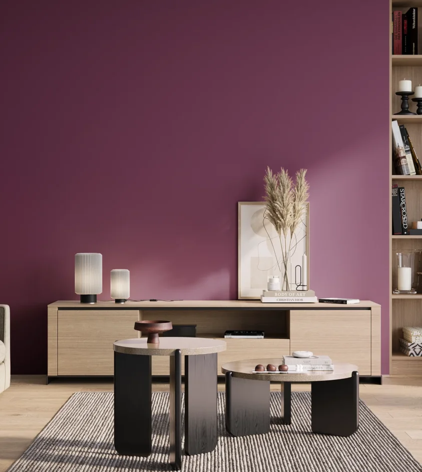 P10_SNIEZKA_salon_01_poranek_GREY_S4050-R40B