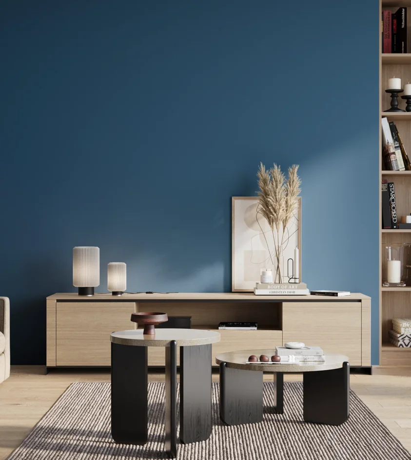 P10_SNIEZKA_salon_01_poranek_GREY_S4050-R90B