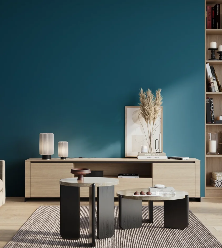 P10_SNIEZKA_salon_01_poranek_GREY_S4550-B