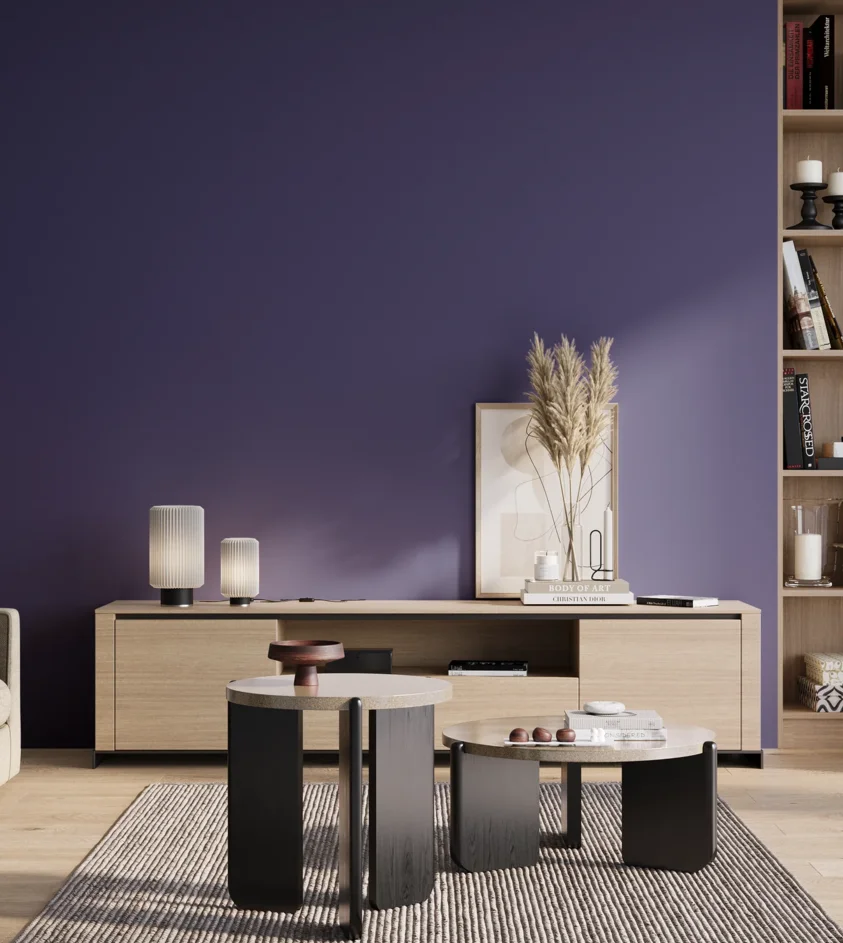 P10_SNIEZKA_salon_01_poranek_GREY_S4550-R70B