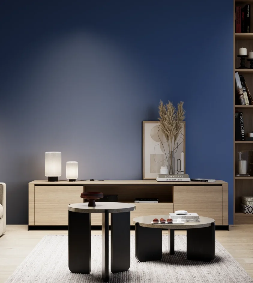P10_SNIEZKA_salon_05_zimne_GREY_S4550-R80B