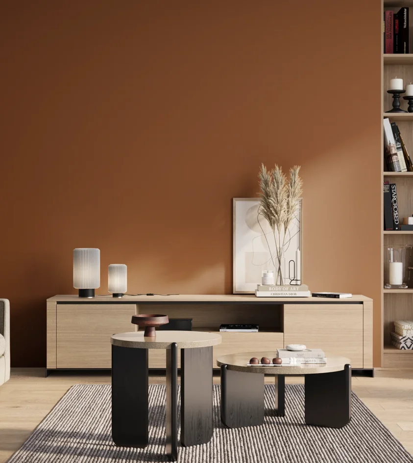 P10_SNIEZKA_salon_01_poranek_GREY_S4550-Y40R