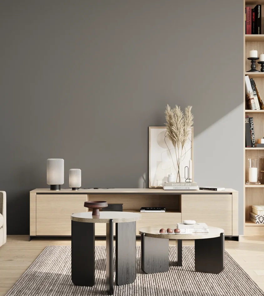 P10_SNIEZKA_salon_02_poludnie_GREY_S5502-B