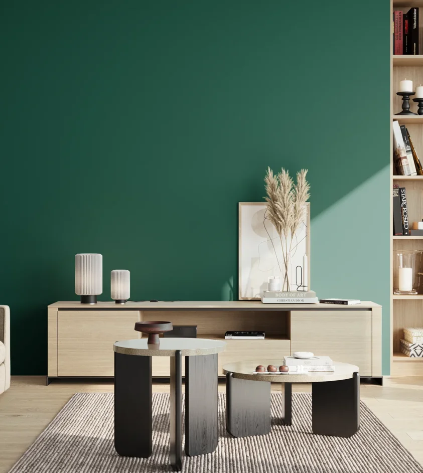 P10_SNIEZKA_salon_02_poludnie_GREY_S5540-B80G