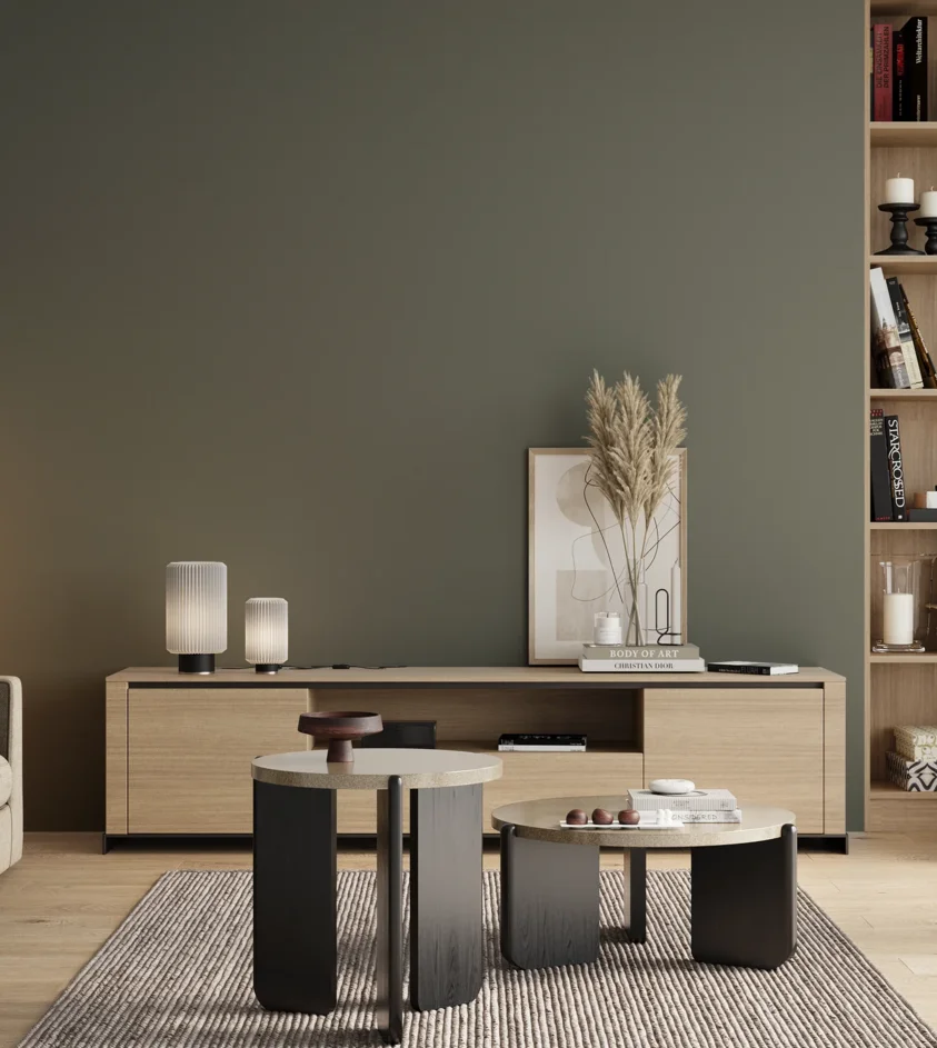 P10_SNIEZKA_salon_00_neutral_GREY_S6005-G20Y