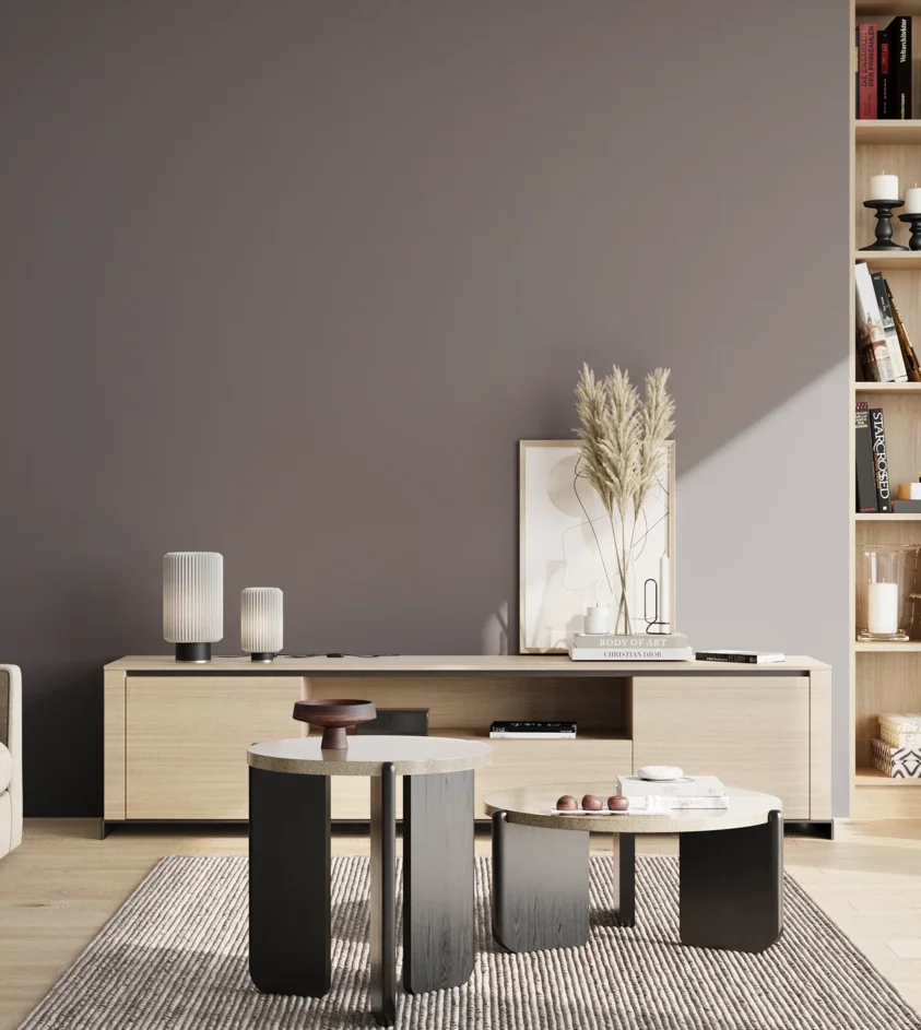 P10_SNIEZKA_salon_02_poludnie_GREY_S6005-R50B