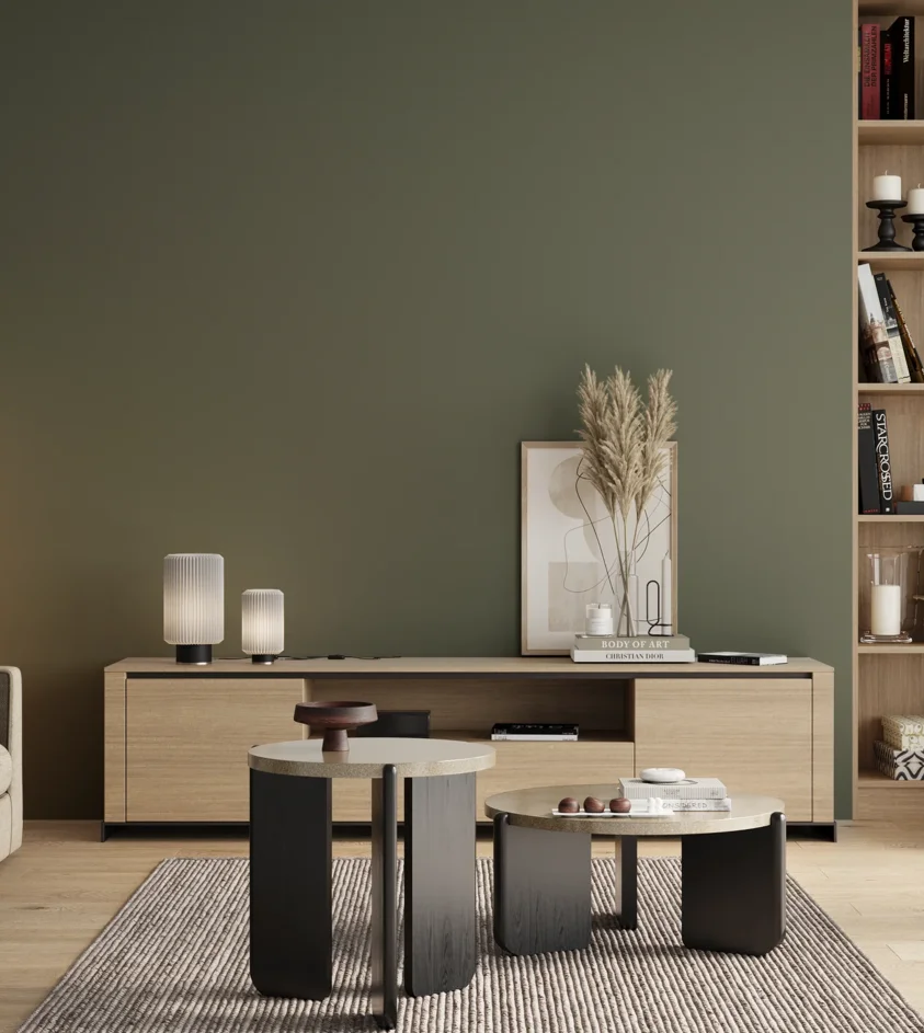 P10_SNIEZKA_salon_00_neutral_GREY_S6010-G30Y