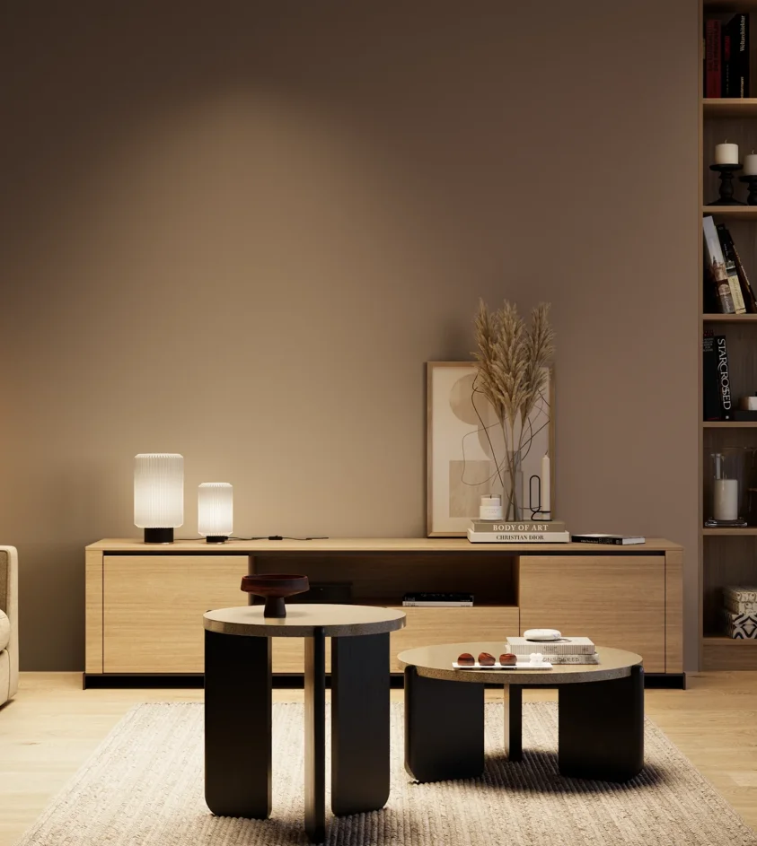 P10_SNIEZKA_salon_04_cieple_GREY_S6010-Y70R