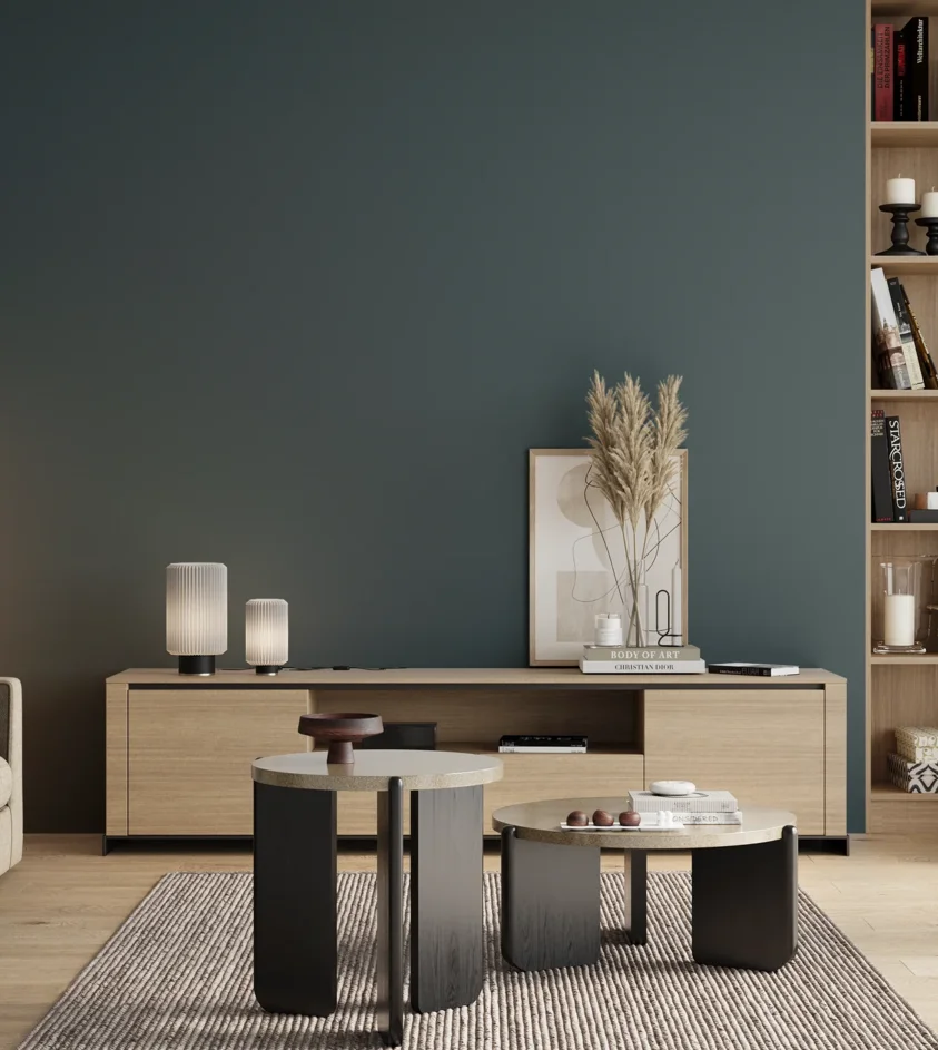 P10_SNIEZKA_salon_00_neutral_GREY_S6020-B10G