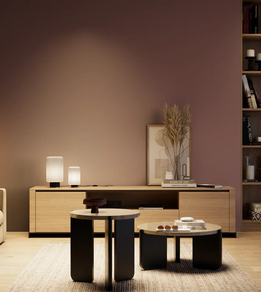 P10_SNIEZKA_salon_04_cieple_GREY_S6020-R10B