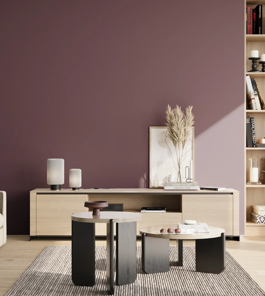 P10_SNIEZKA_salon_02_poludnie_GREY_S6020-R30B